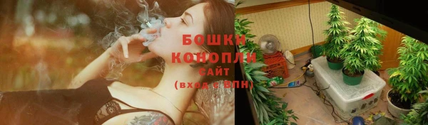 ешки Верхний Тагил