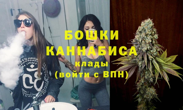 хмурый Бронницы