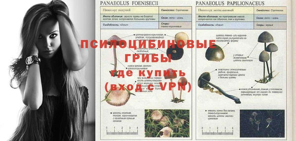 ешки Верхний Тагил